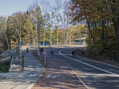 Zdjęcie przedstawiające drogę z wydzieloną ścieżką rowerową i pieszą w otoczeniu drzew.